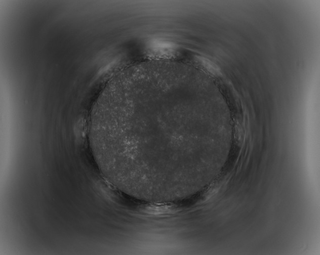 X0000086990701200704161506