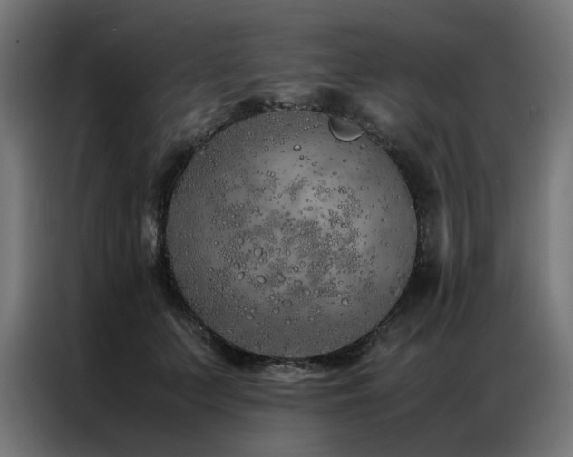 X0000086990703200704161506