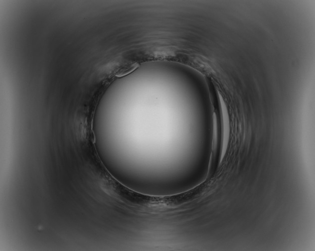 X0000086990704200704161506