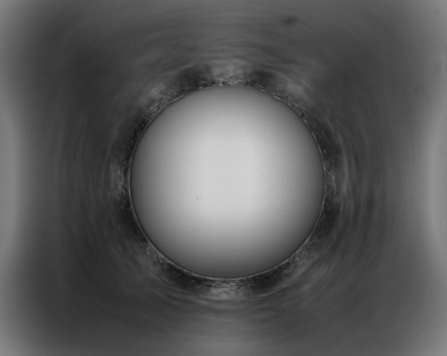 X0000086990705200704161506