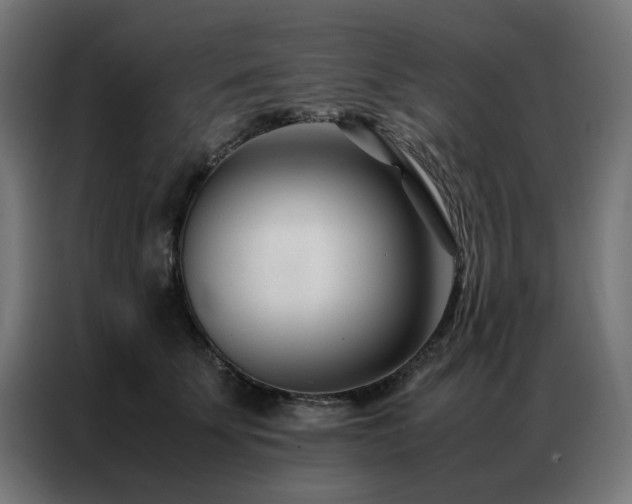 X0000086990707200704161506