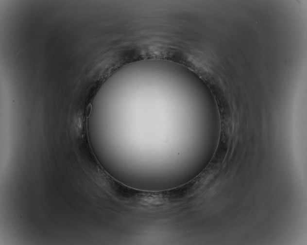 X0000086990709200704161506