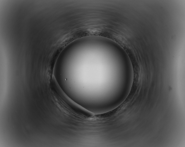 X0000086990710200704161506