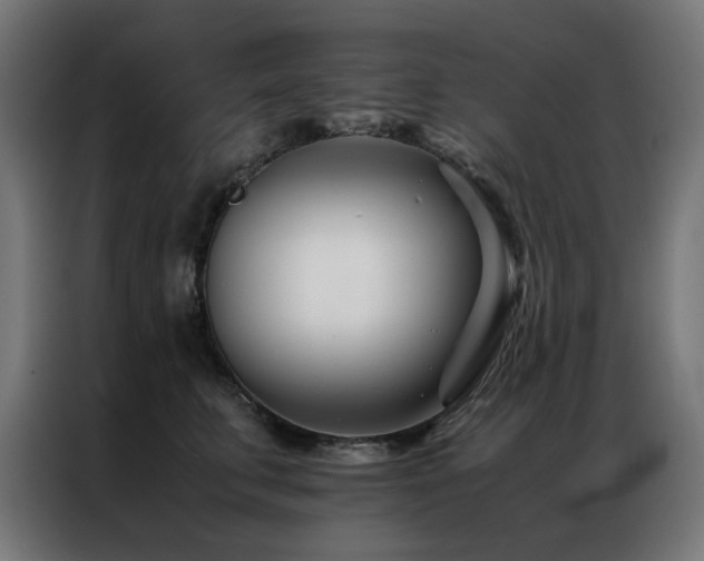 X0000086990711200704161506