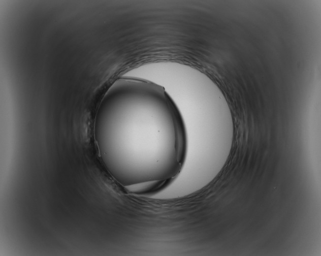 X0000086990712200704161506