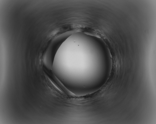 X0000086990716200704161506