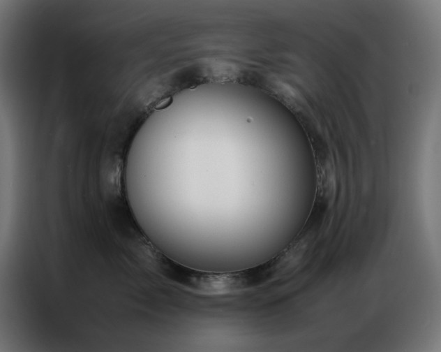 X0000086990717200704161506