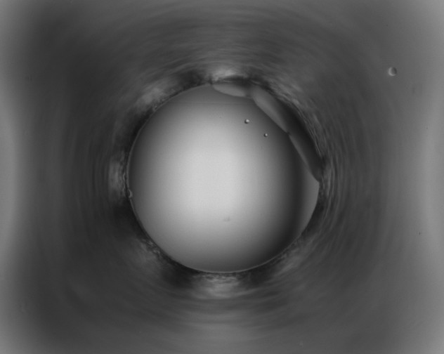 X0000086990719200704161506