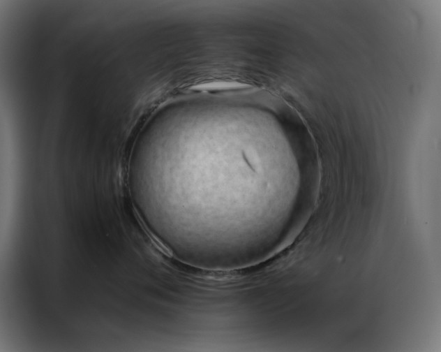 X0000086990720200704161506