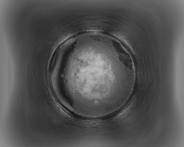 X0000086990721200704161505