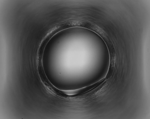X0000086990722200704161505