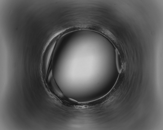 X0000086990724200704161505