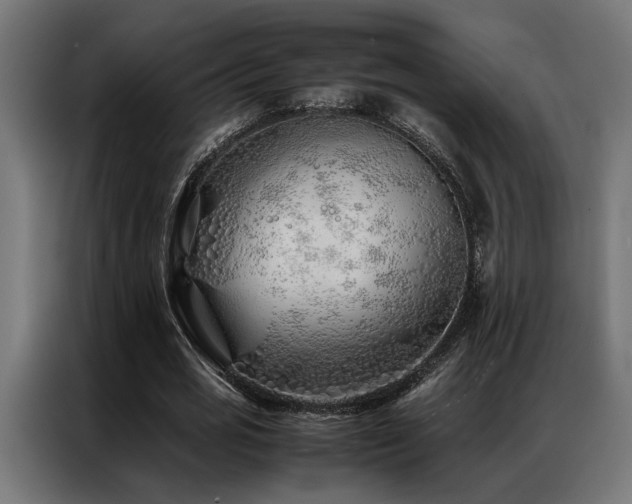 X0000086990725200704161505