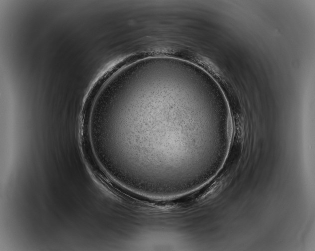 X0000086990726200704161505