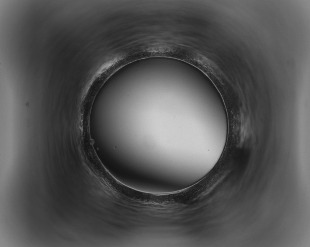 X0000086990727200704161505
