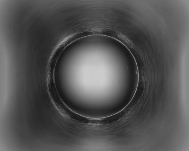 X0000086990728200704161505
