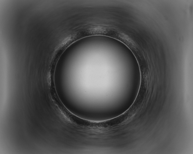 X0000086990729200704161505