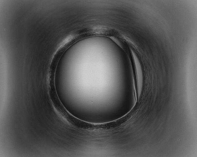 X0000086990730200704161505