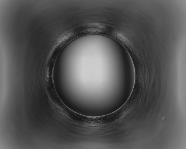 X0000086990731200704161505