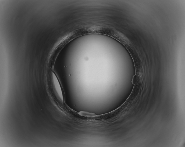 X0000086990732200704161505