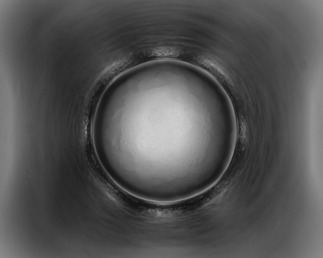 X0000086990733200704161505