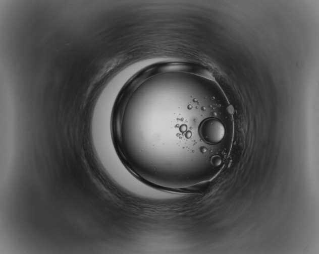 X0000086990734200704161505