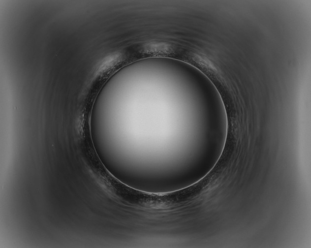 X0000086990735200704161505