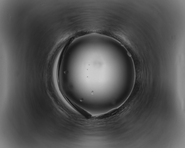 X0000086990736200704161505
