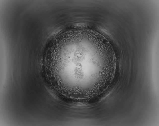 X0000086990737200704161505