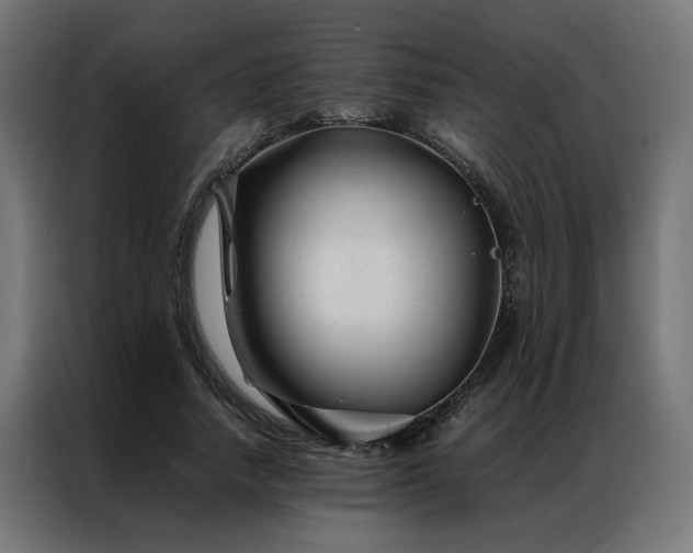 X0000086990738200704161505