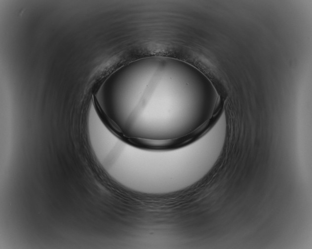X0000086990740200704161505