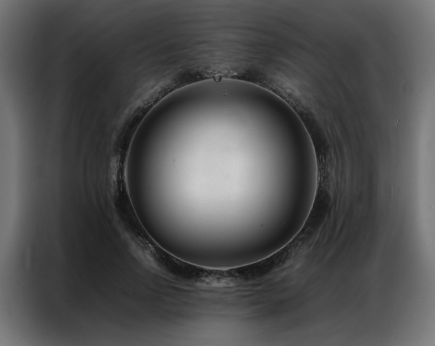 X0000086990742200704161505