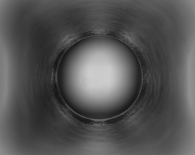 X0000086990744200704161505
