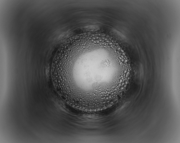 X0000086990745200704161505