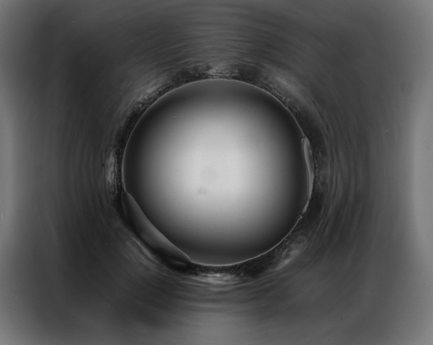 X0000086990748200704161506