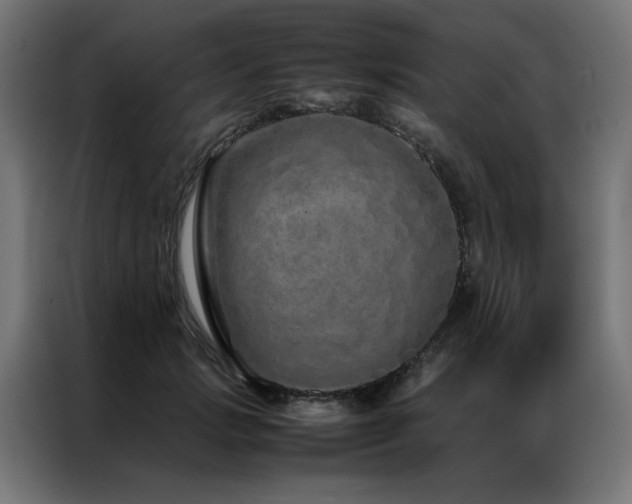 X0000086990749200704161506
