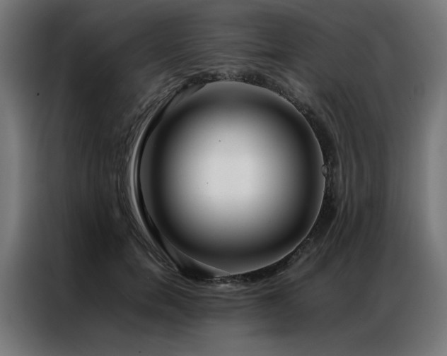 X0000086990750200704161506