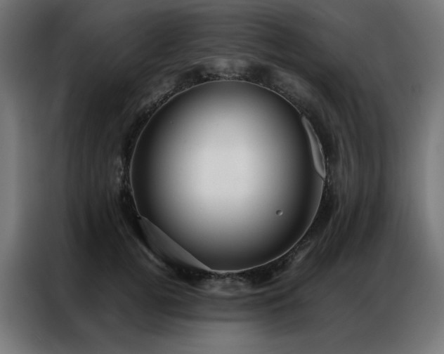X0000086990752200704161506