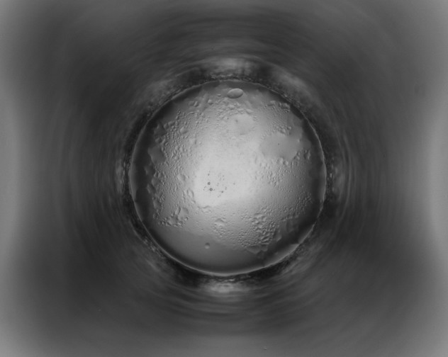 X0000086990753200704161506