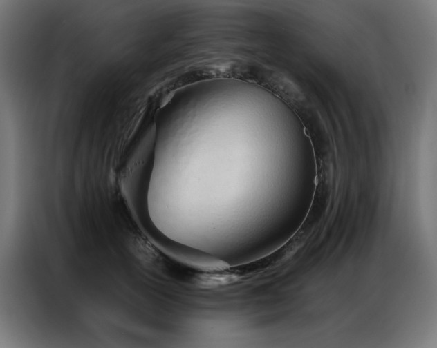 X0000086990754200704161506