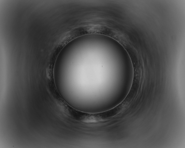 X0000086990755200704161506