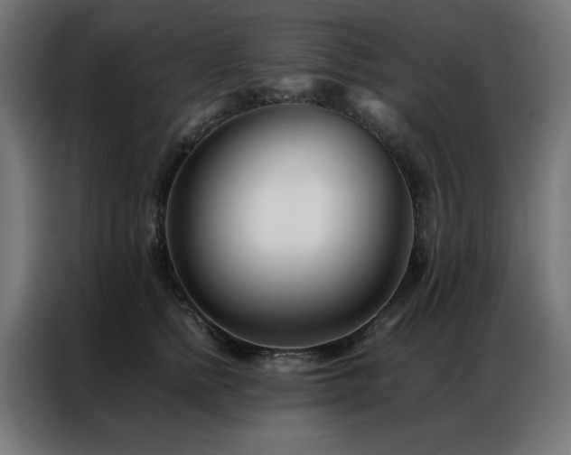 X0000086990758200704161506