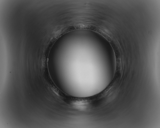 X0000086990760200704161506