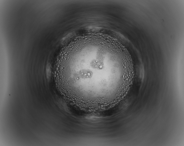 X0000086990761200704161506