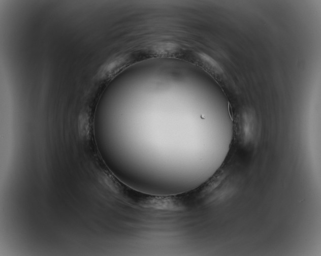 X0000086990762200704161506