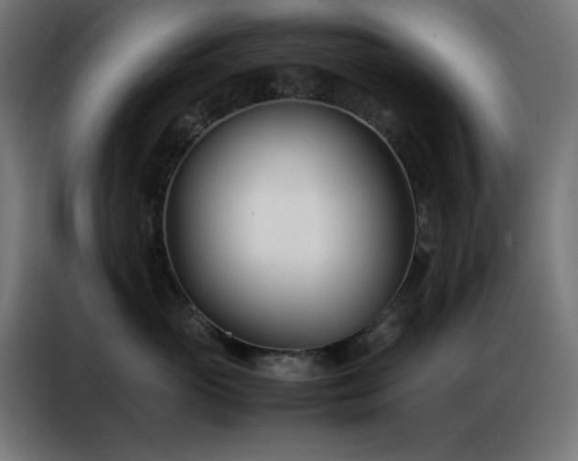 X0000086990765200704161506