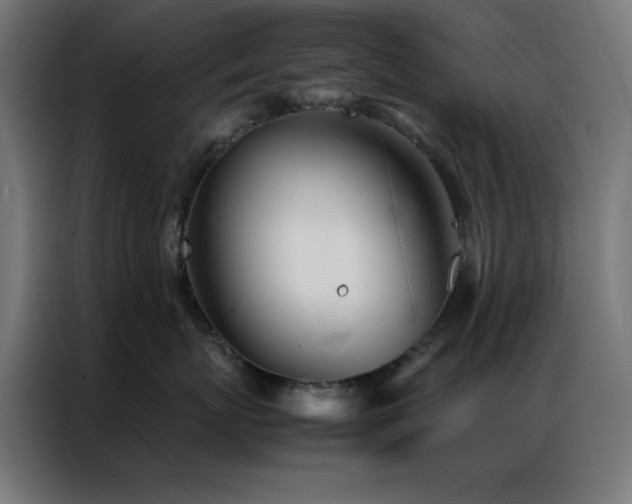 X0000086990767200704161506