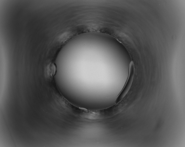 X0000086990768200704161506