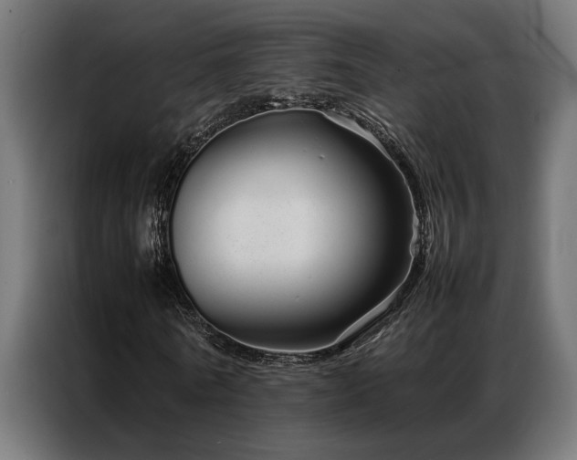 X0000086990770200704161505