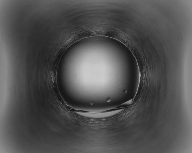 X0000086990772200704161505